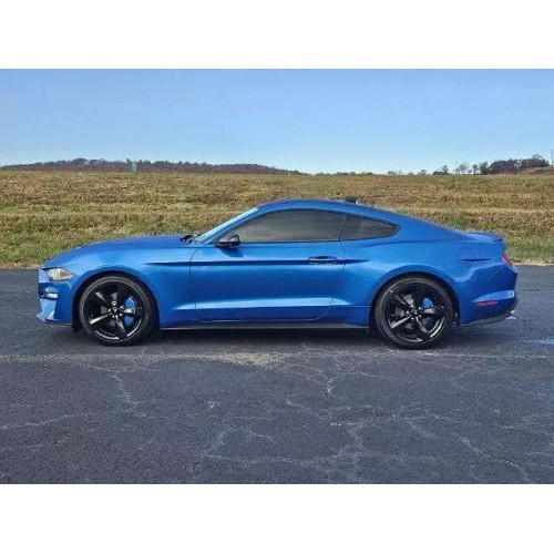 2021 Ford Mustang EcoBoost's photo