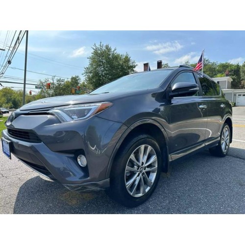 2017 Toyota RAV4 Platinum's photo