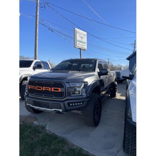 2017 Ford F-150 Raptor's photo