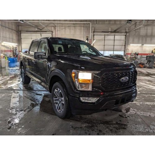 2021 Ford F-150 XL's photo