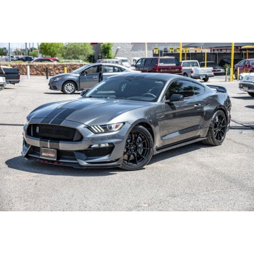 2019 Ford Mustang Shelby GT350's photo