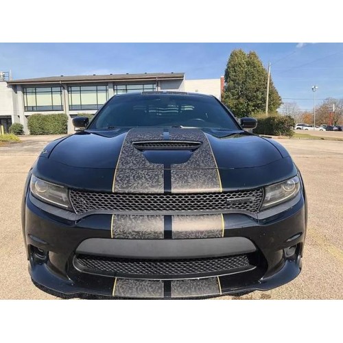 2020 Dodge Charger R/T's photo
