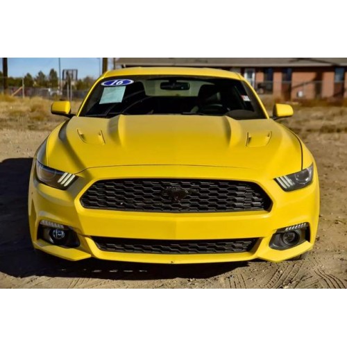 2016 Ford Mustang GT's photo